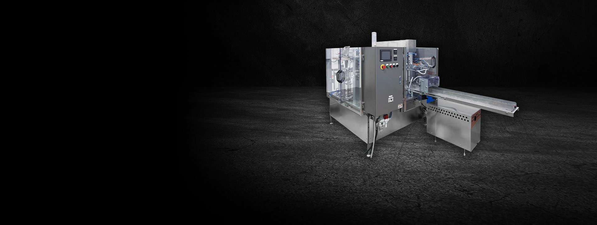 General Packer Bag Feeding Packaging Machine